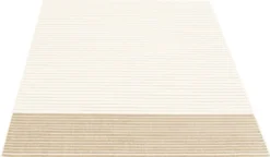 Tapis intérieur - 5 x 7