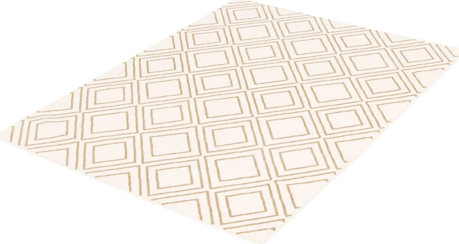 Tapis intérieur - 7 x 10