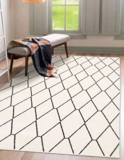 Tapis intérieur - 7 x 10