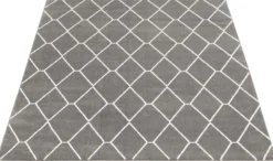 Tapis intérieur - 8 x 10