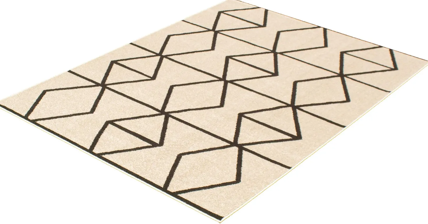 Tapis intérieur - 8 x 10