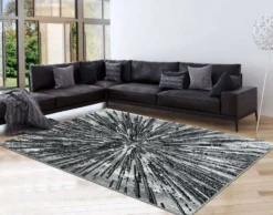 Tapis 5 X 8 pi