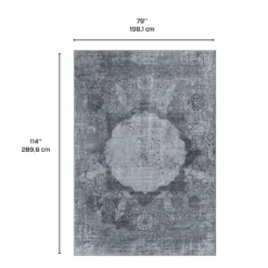 Tapis 6 X 9 pi