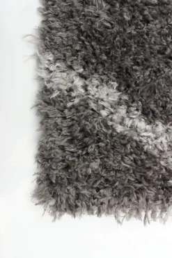 Tapis 7 x 10 pi