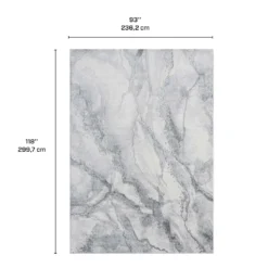 Tapis 8 X 10 pi