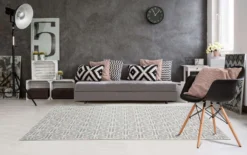 Tapis 8 X 10 pi