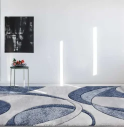 Tapis 8 X 10 pi